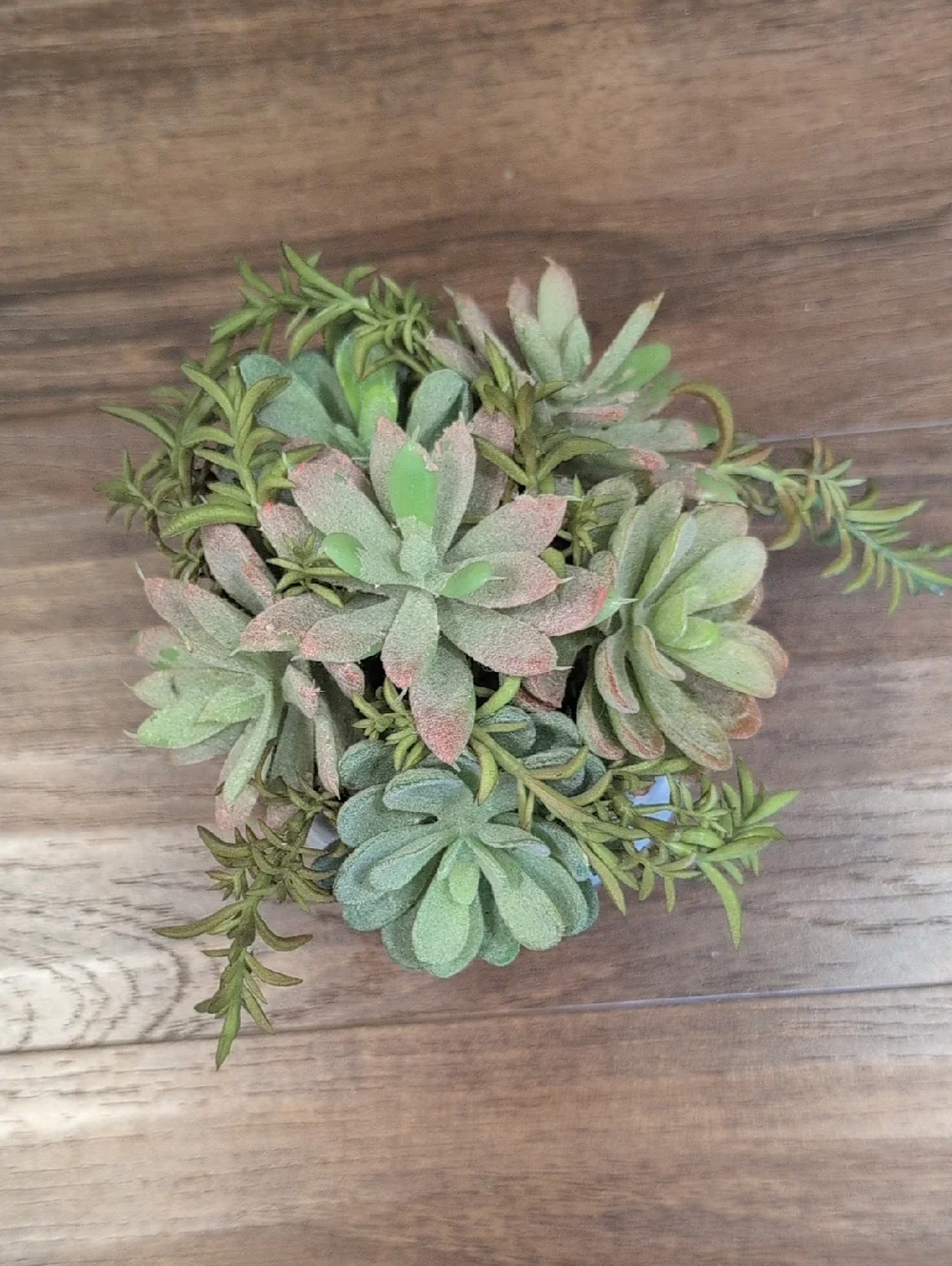 Altar'd State Green Succulent in Gray and Gold Planter